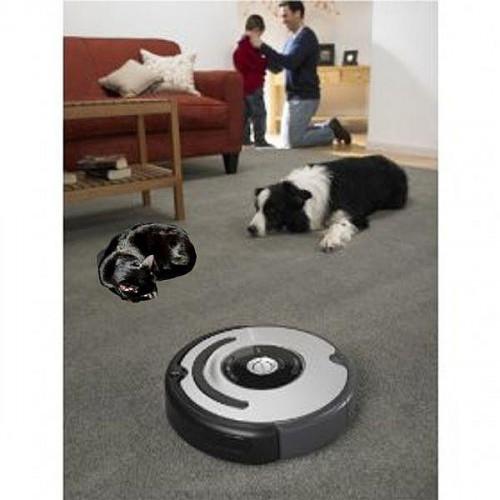 Wie Rhumba mit den Roomba: wählen das beste Vakuum-Modell für Ihre Bedürfnisse