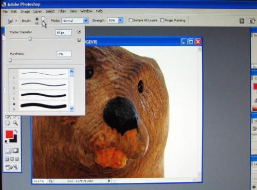 Verwendung einer Wischfinger-Werkzeug auf Adobe Photoshop CS2